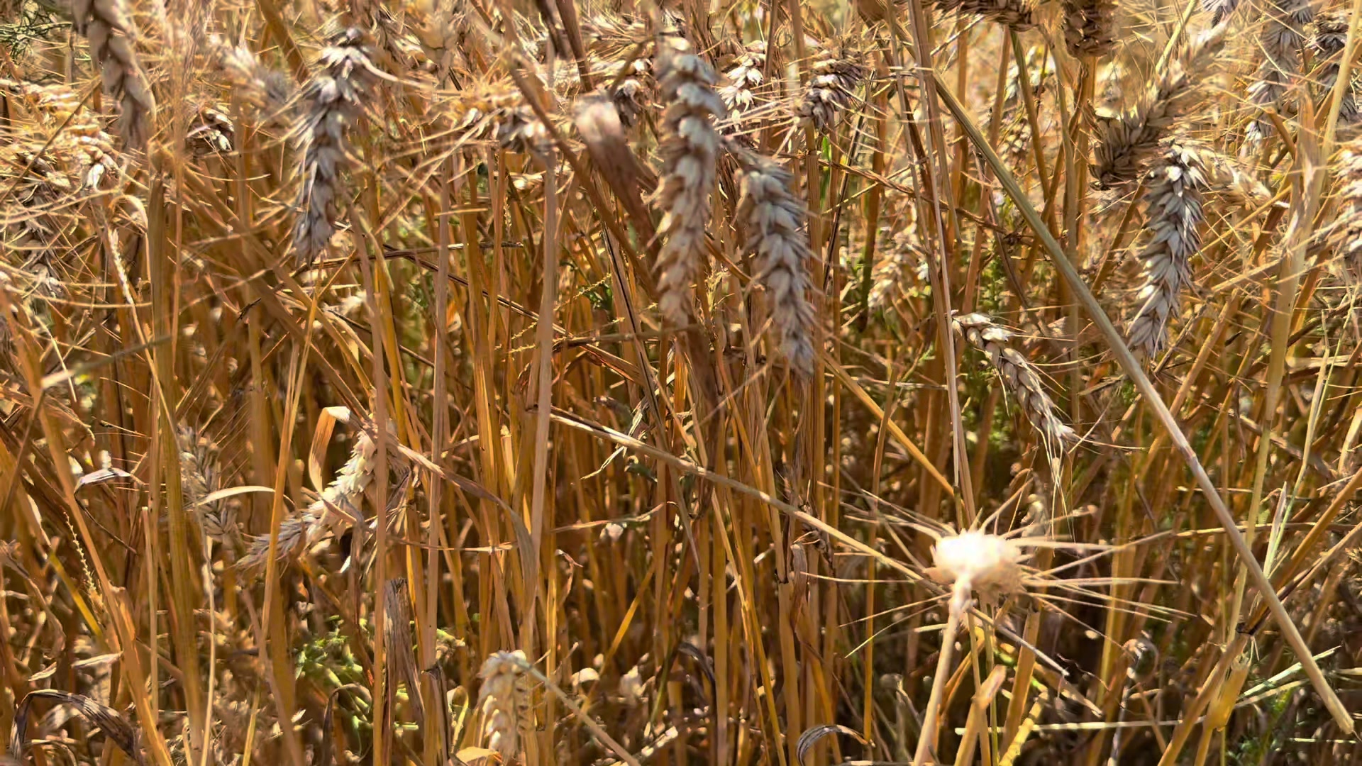 @Mon quotidien agricole