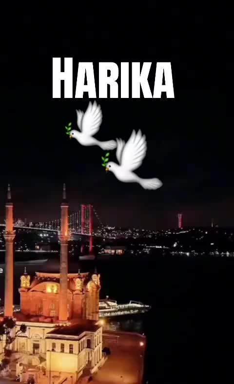 @Schüky