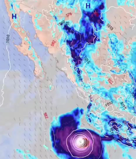 @🐉AldoGtzU🇲🇽 🩵🕉️🦁🦋🎧🦦🌛