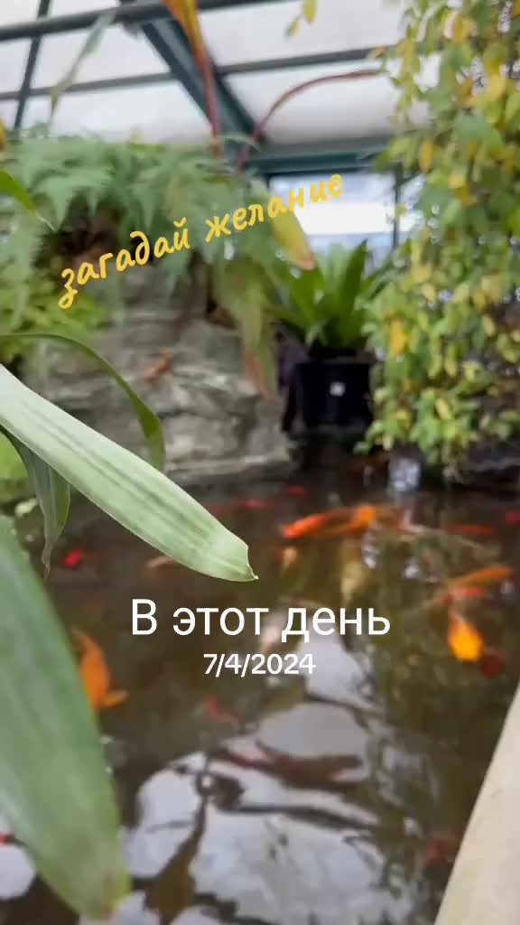 @Незабудка