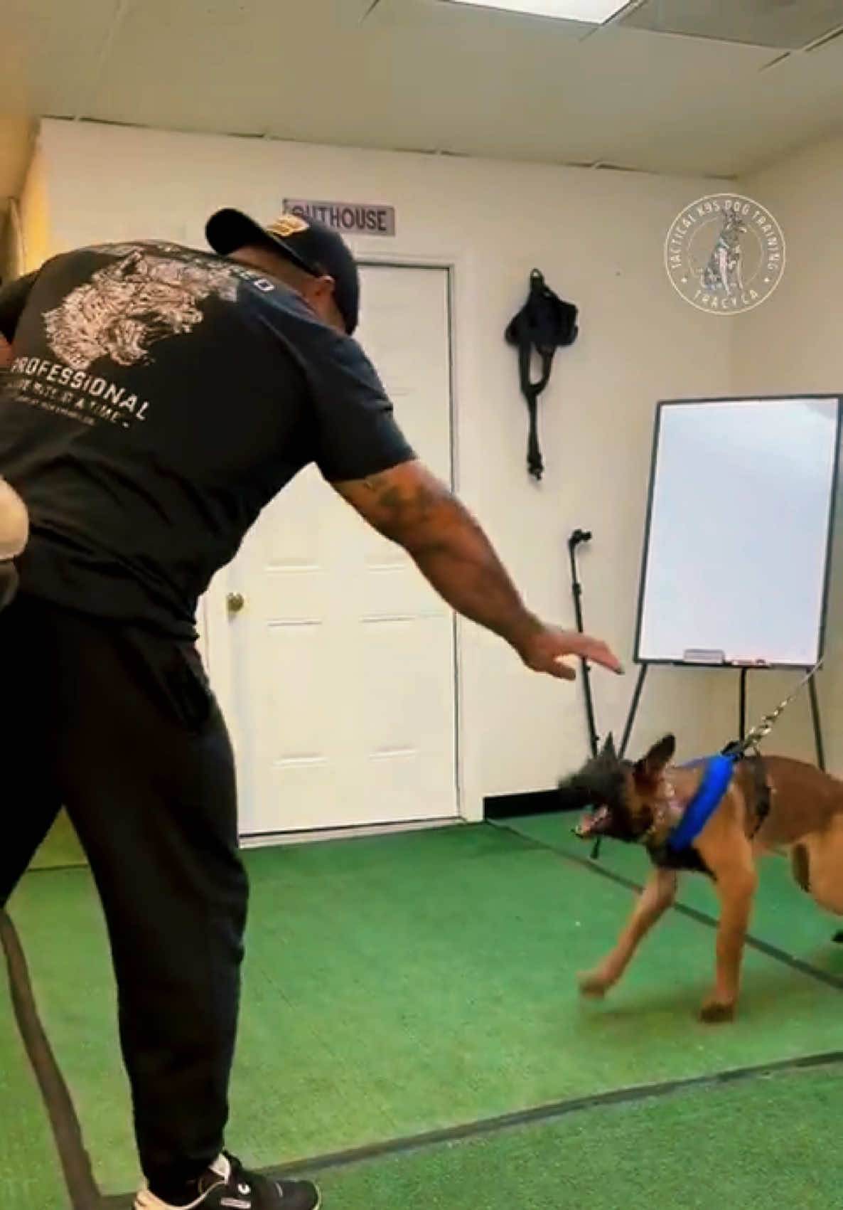@Tactical K9s Dog Training