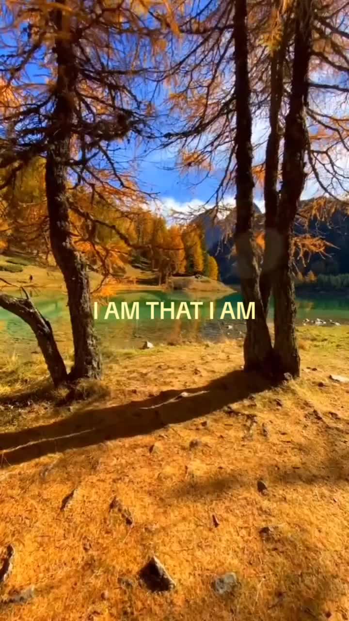 @Mr TikTok