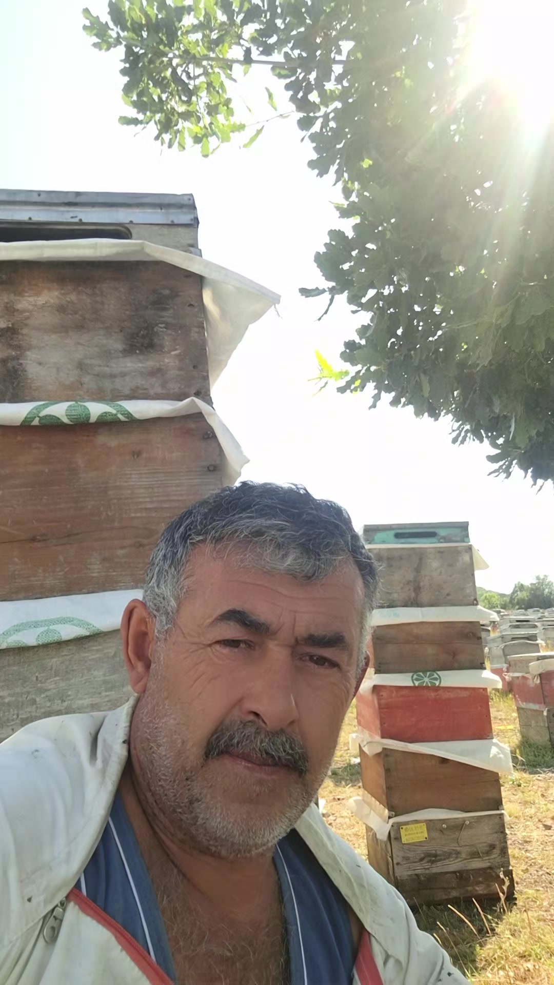 @Vural Demir