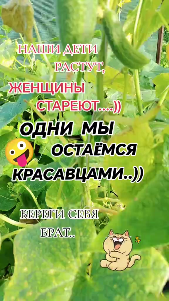 @Александр