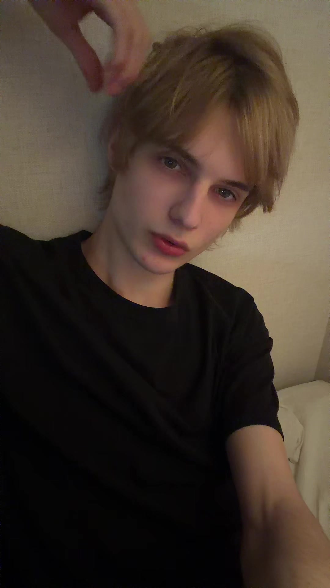 @миш дигримис