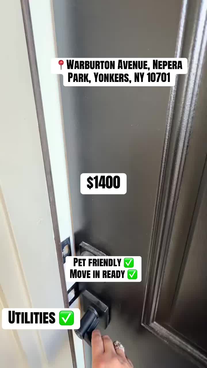 @Daily Rental Finds