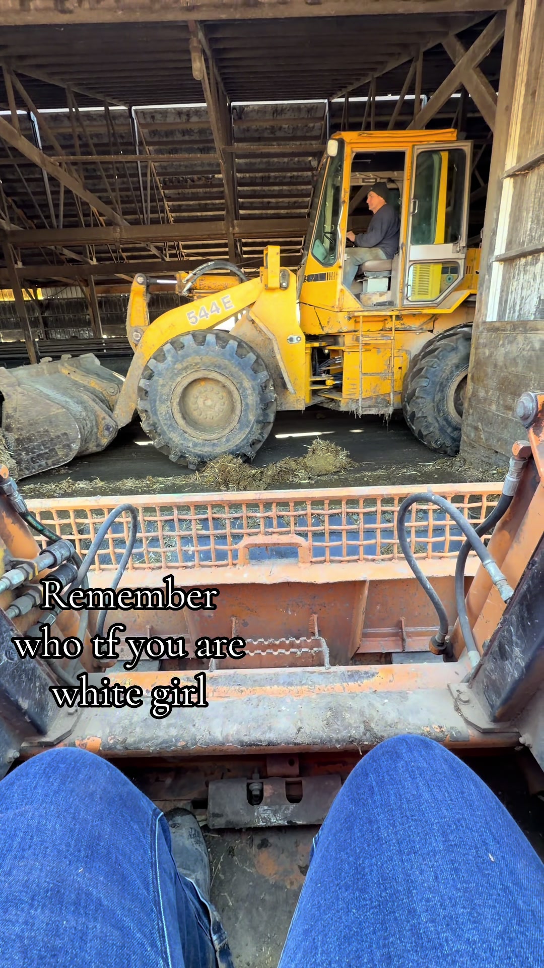 @wiggitywild