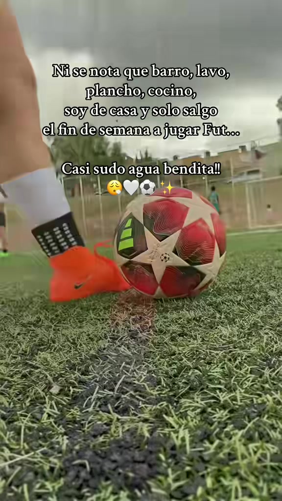 @Evelyn Moreno