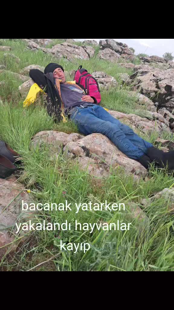 @mıhan oğlu beslicilik