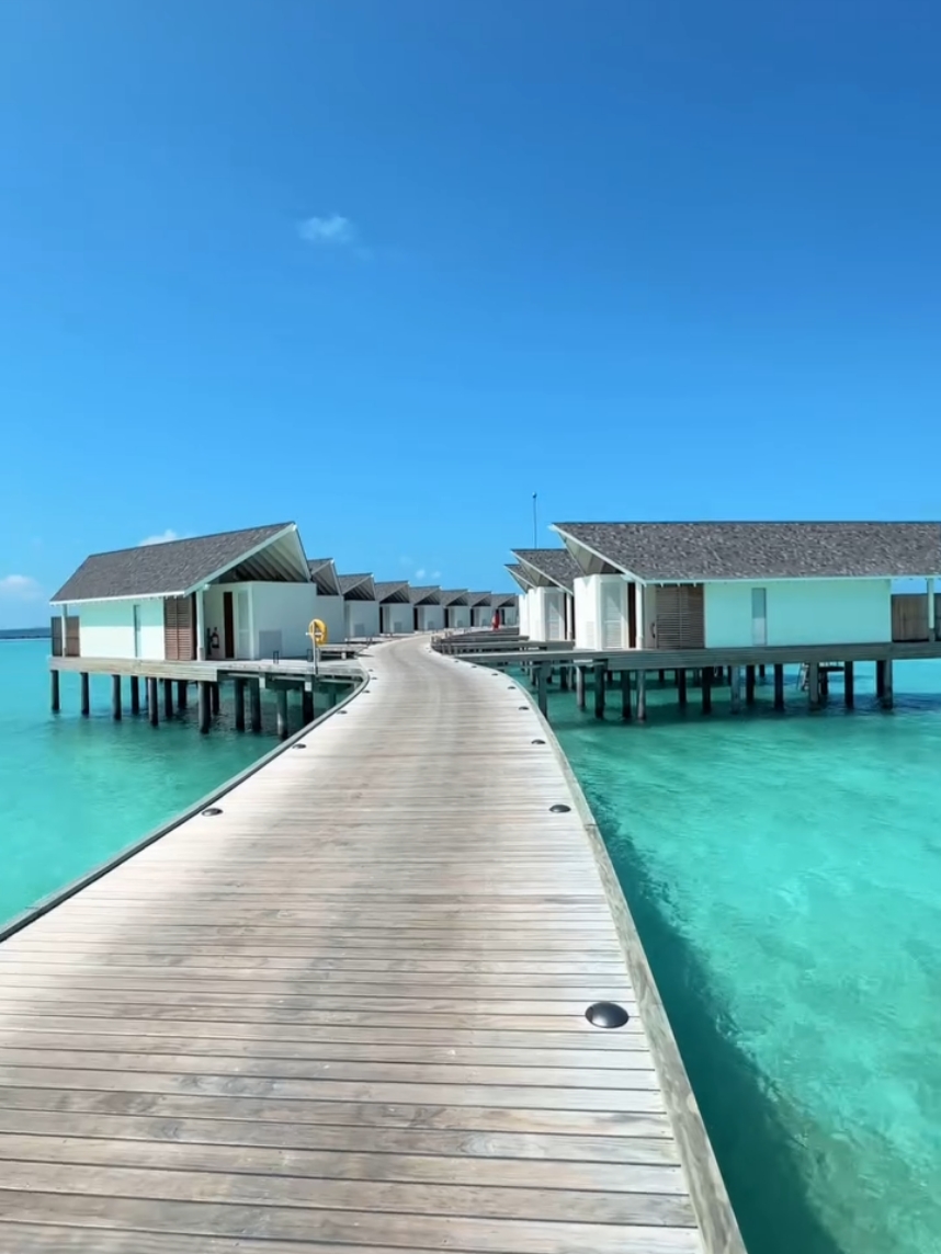@traveller