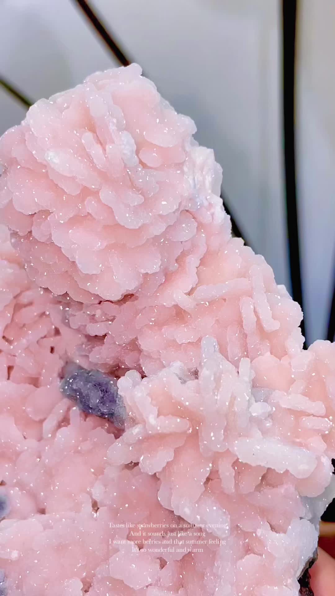 @DaisyGem