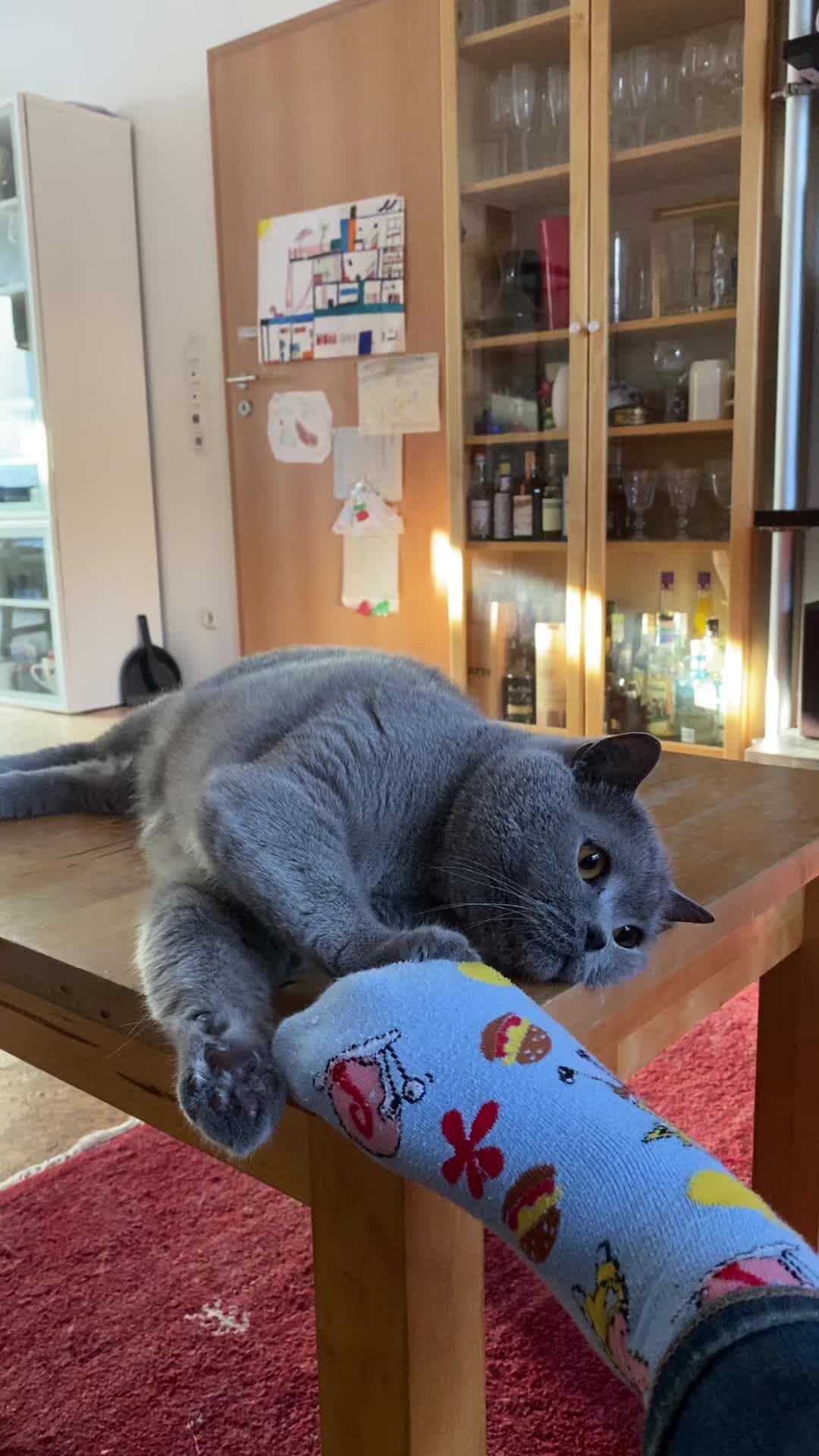 @😸