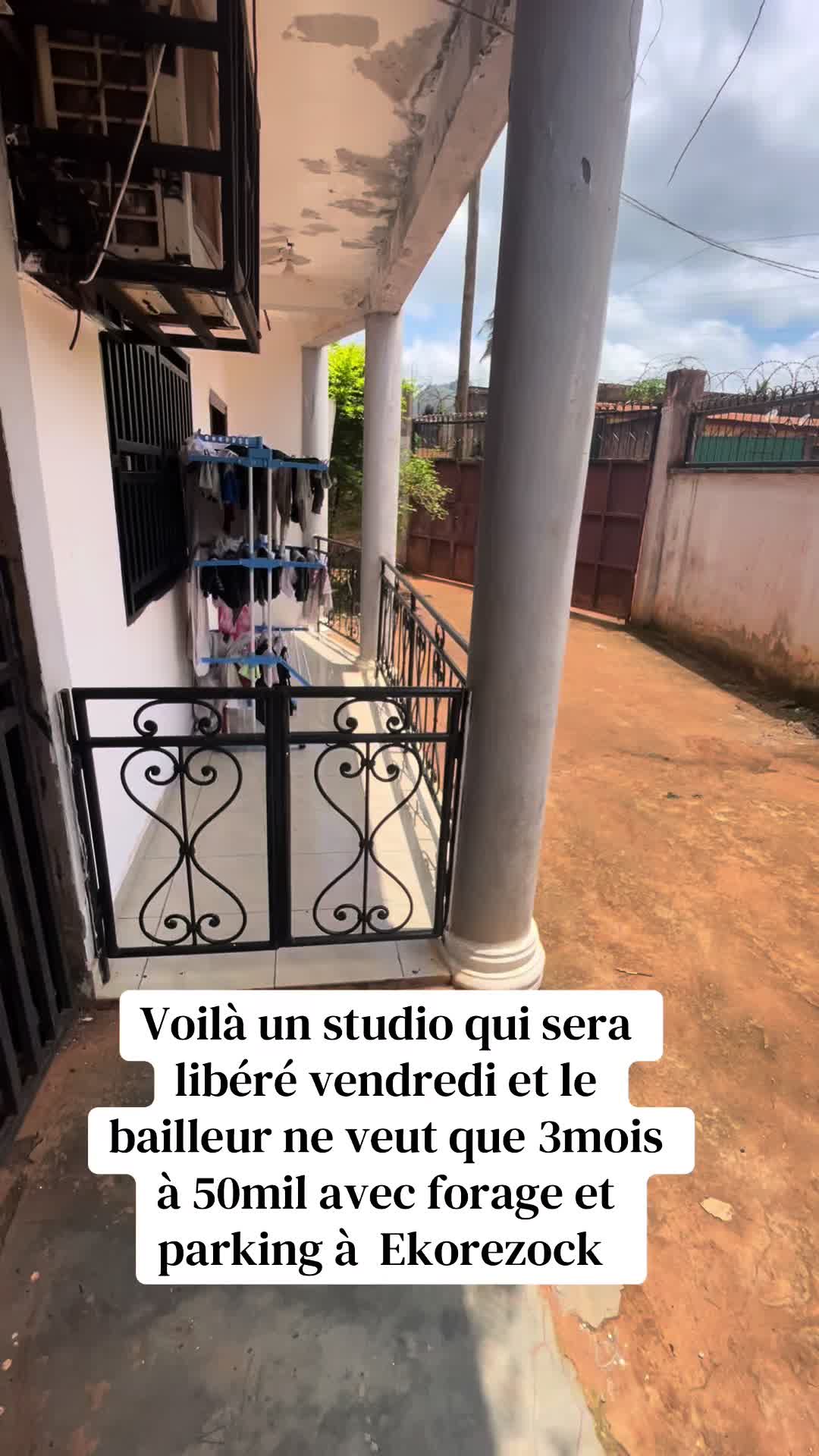 @DINO~IMMO~237🇨🇲🇨🇲