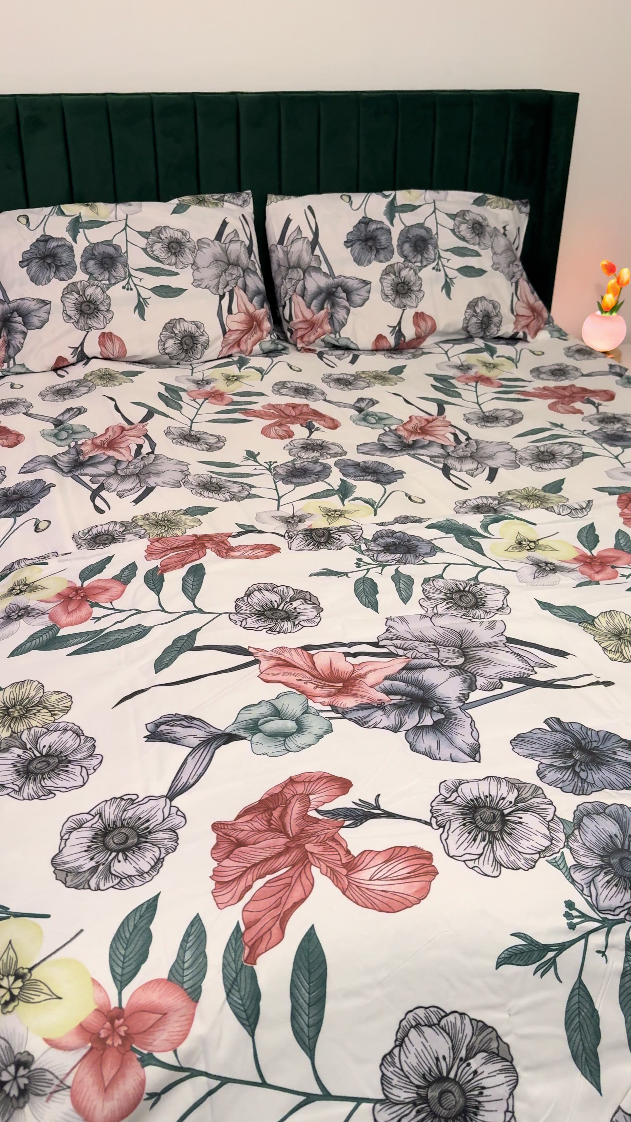 @ticktokdeals