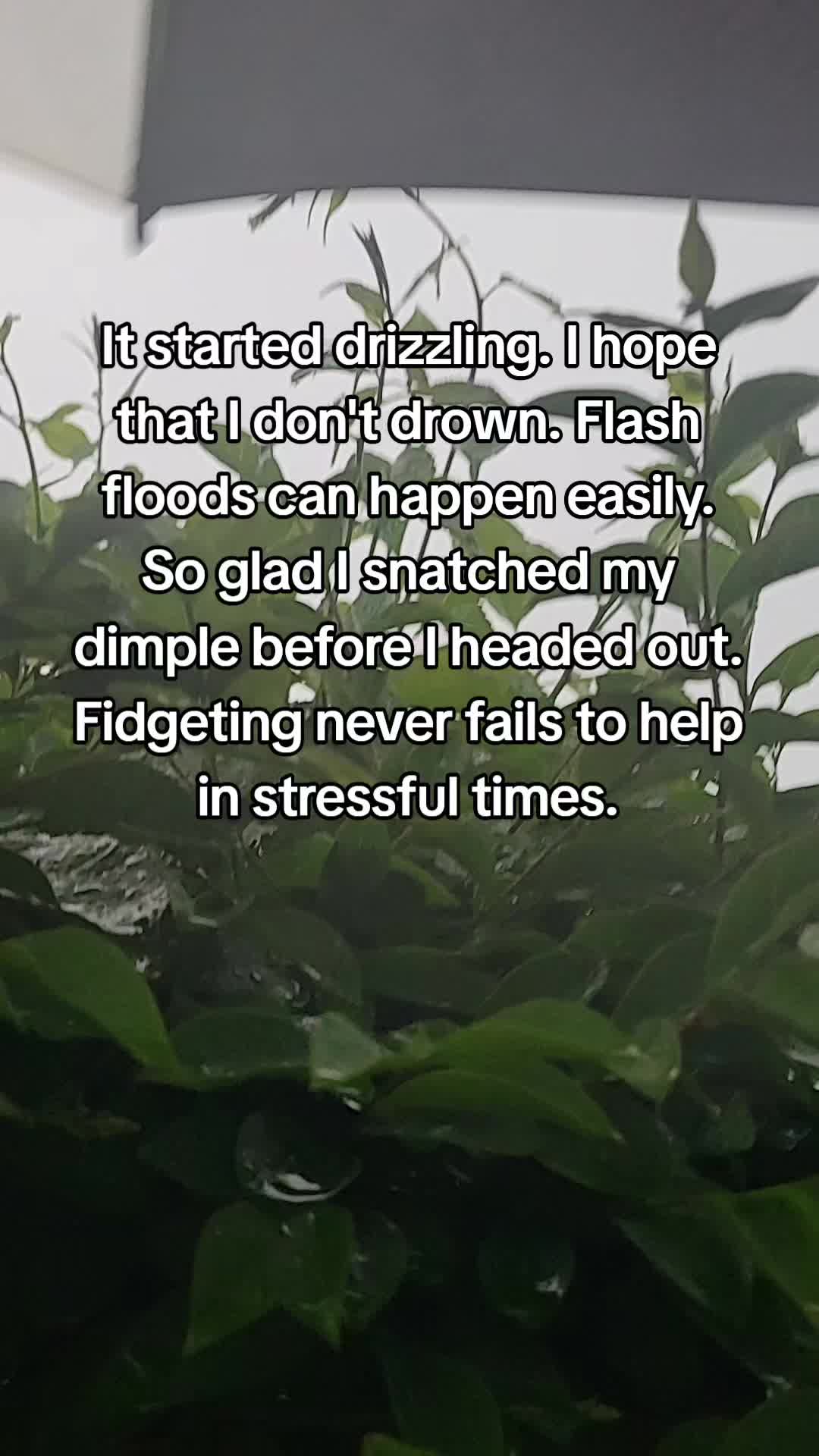 @fidget fan