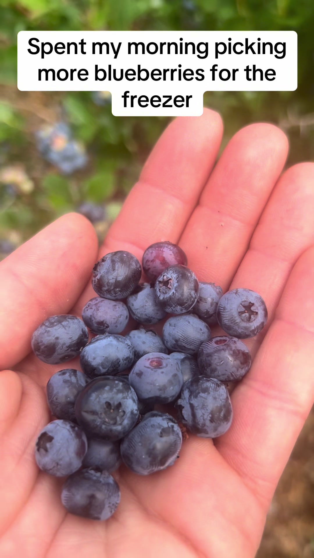 @littlesandycreekfarm