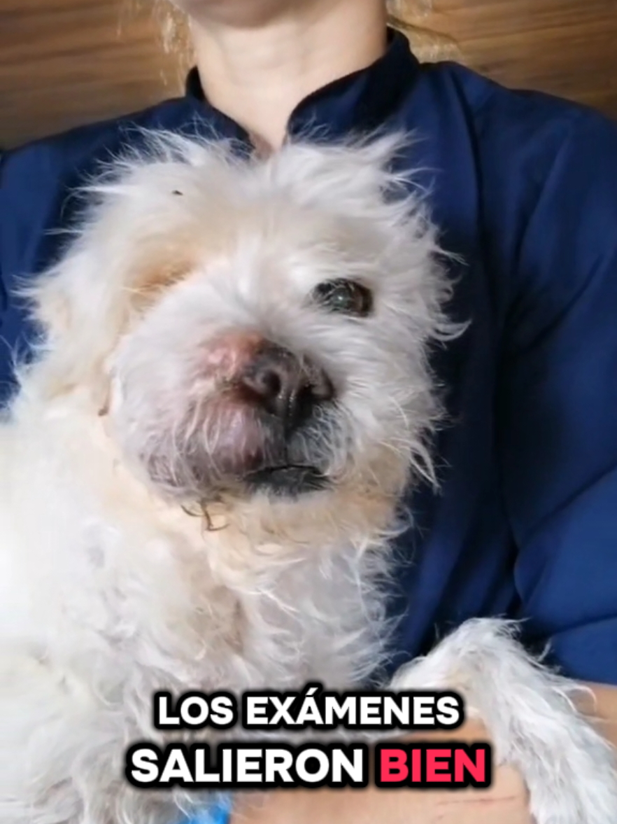 @Clínica la Vet Oriente