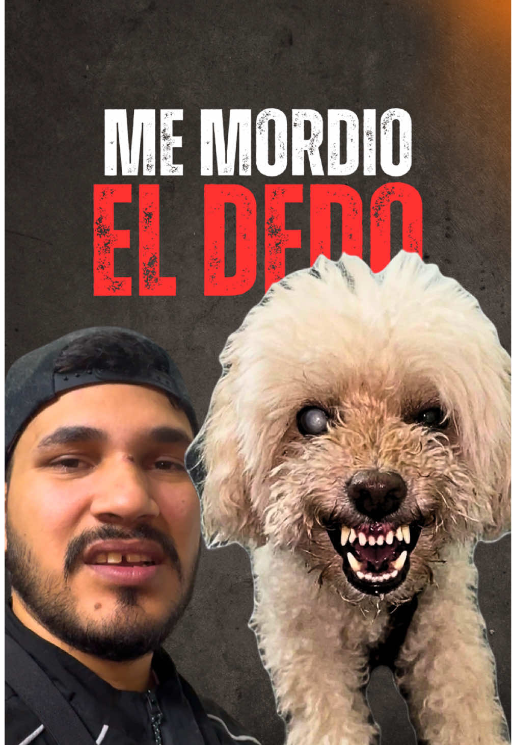 @VICTOR THE GROOMER