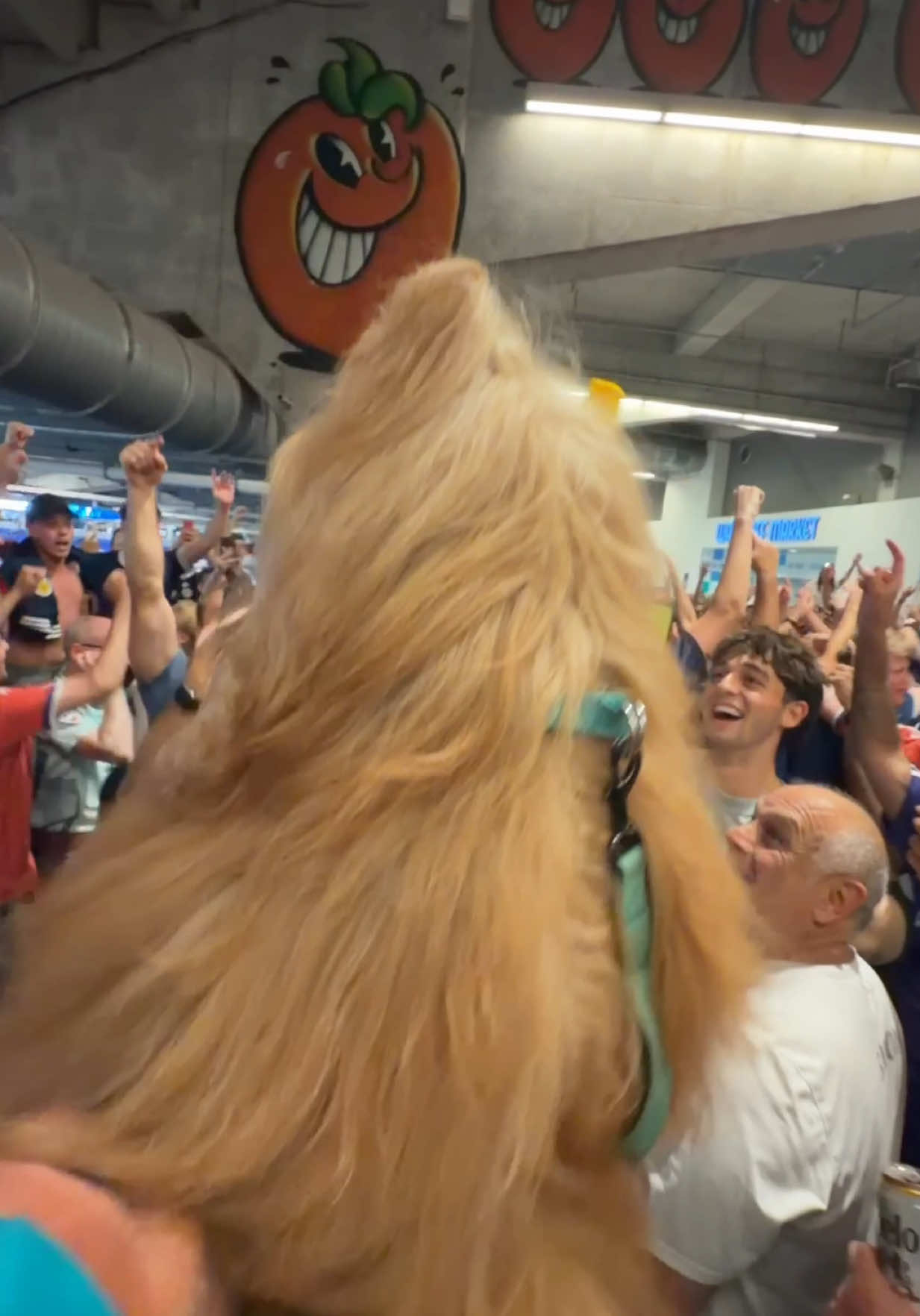@Brodie The Goldendoodle