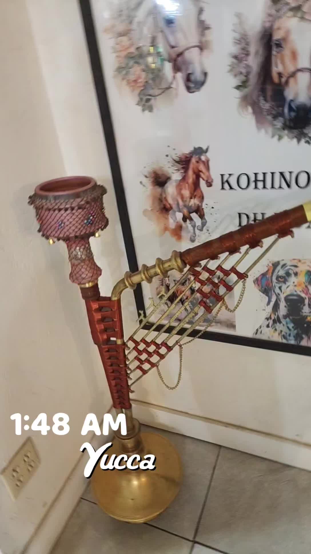 @phagwara09