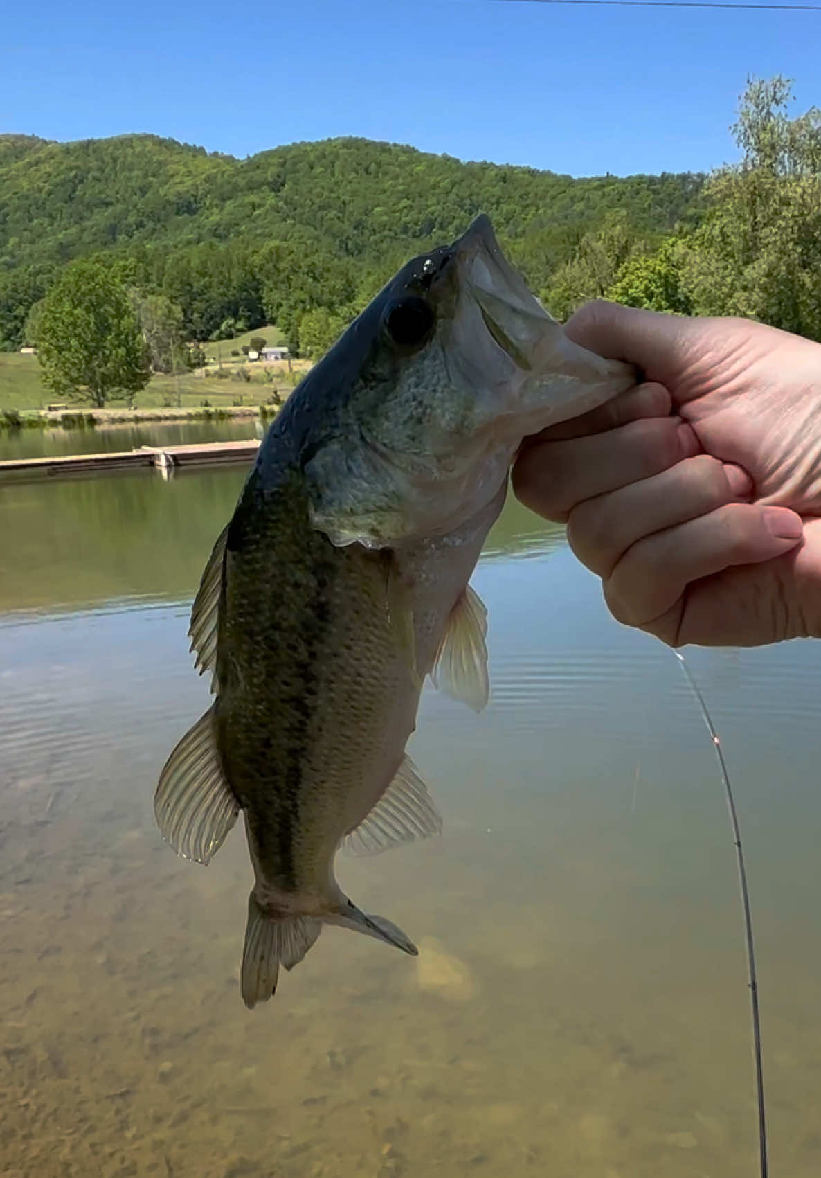 @Rod N Hand Fishing