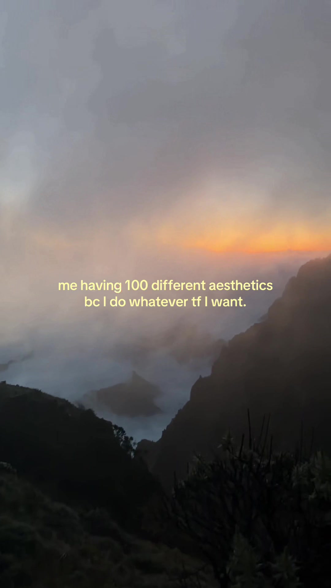 @claire koepnick
