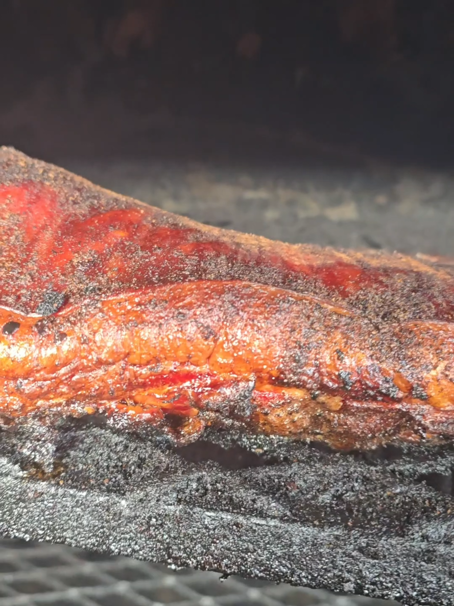 @JLTHEPITMASTER
