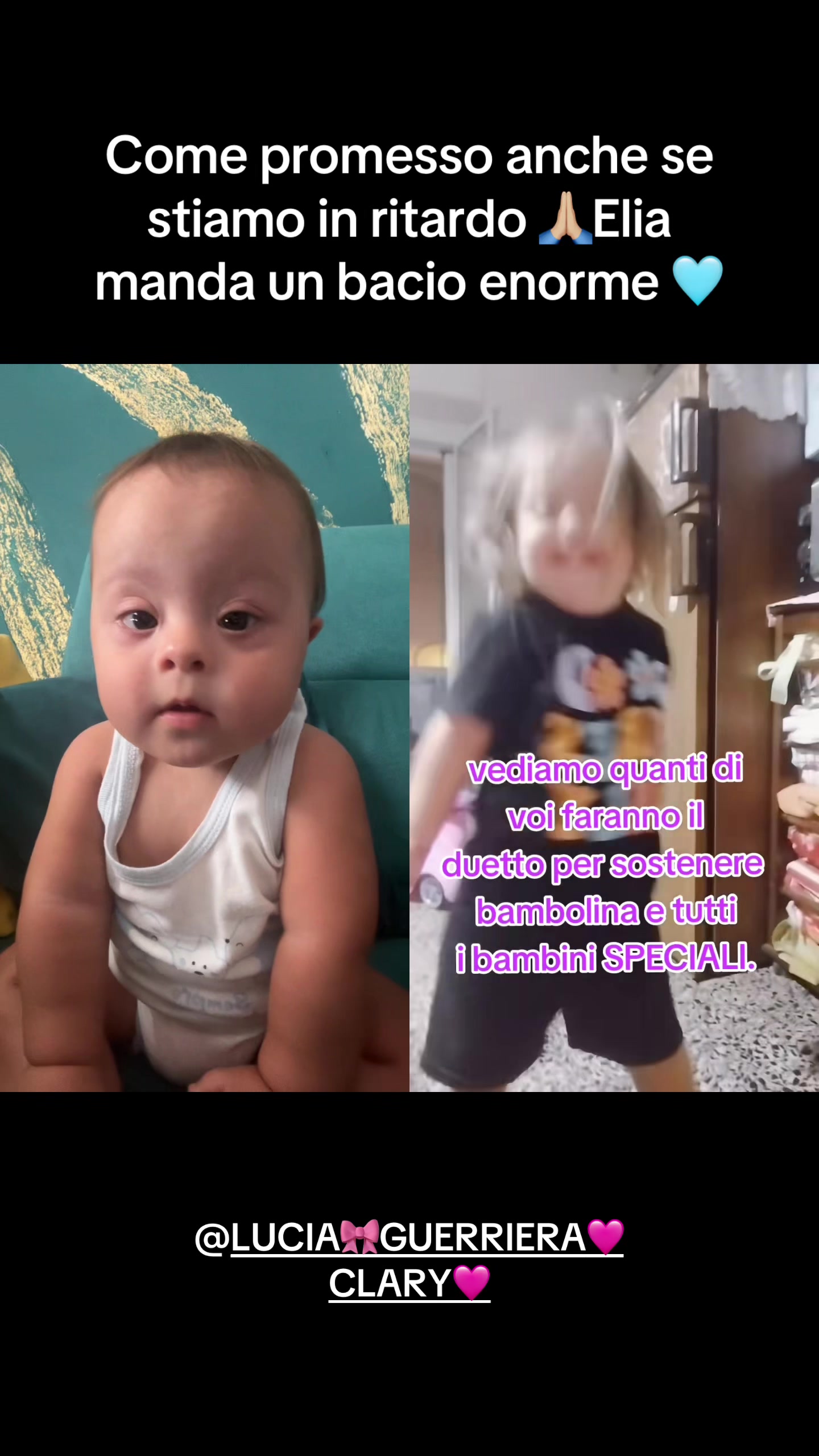 @mammadielia1
