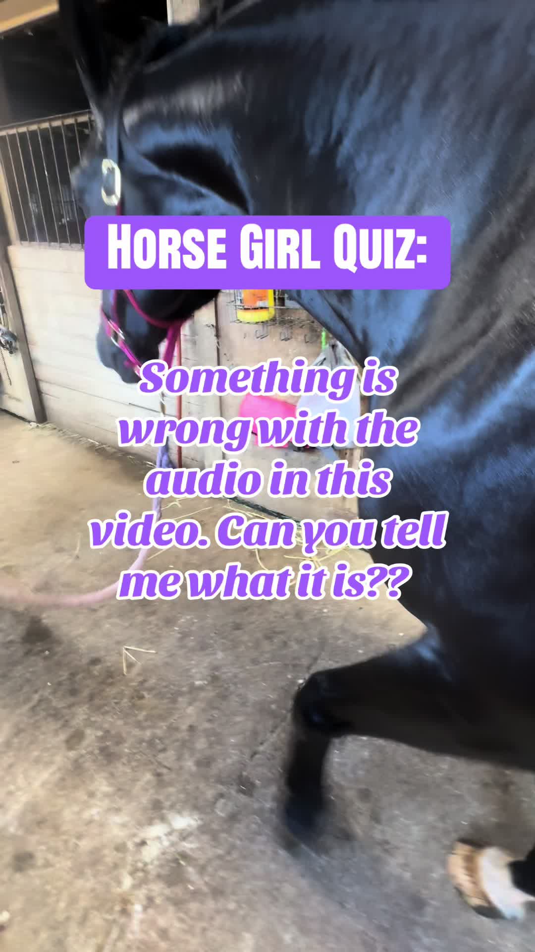 @Equestrian |🦄 Mom