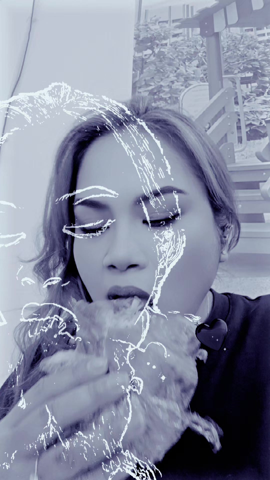 @๐ฆShikin๐ฆ๐ธ๐ฌ๐๐ฆ