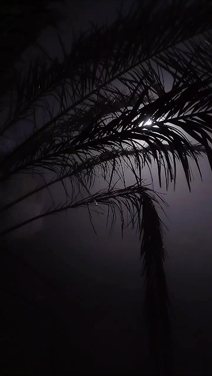 @أجمل شاه | الحياة في الباحة