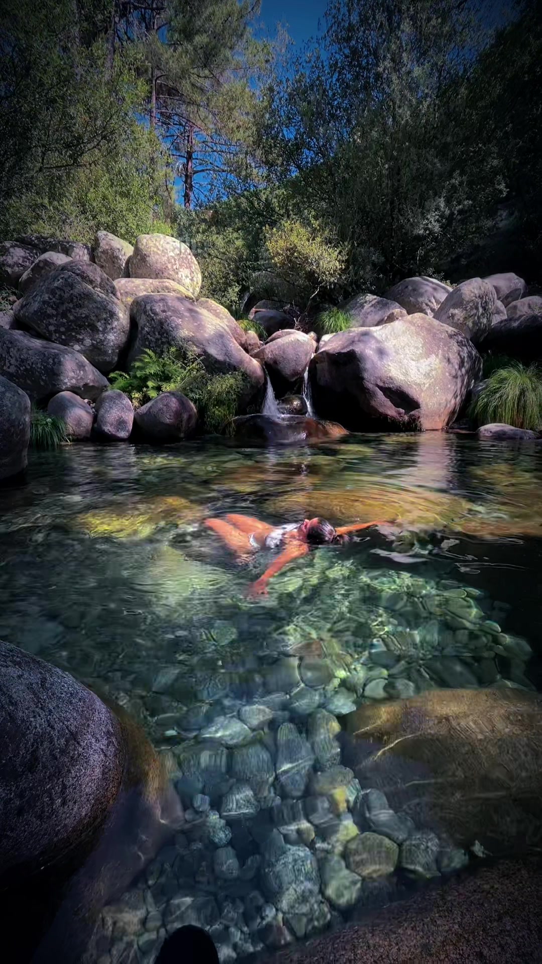 @🌺 𝓘𝓿𝓪𝓷𝓬𝓪 🌺