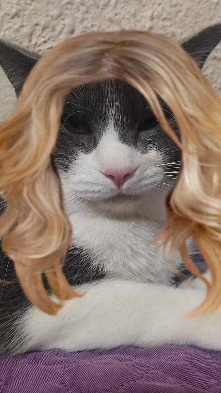 @Oyuki.A