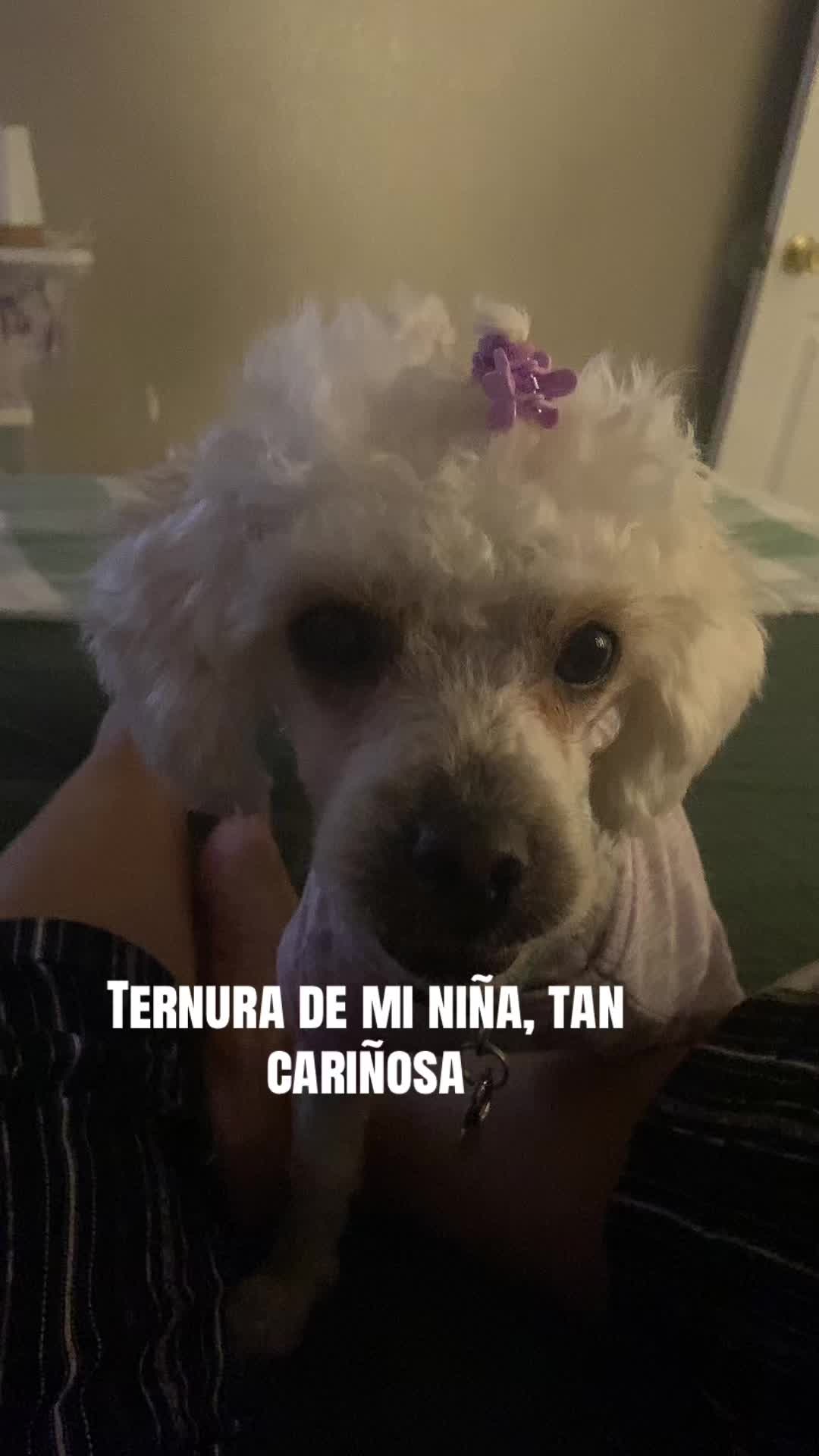 @Adi Robles