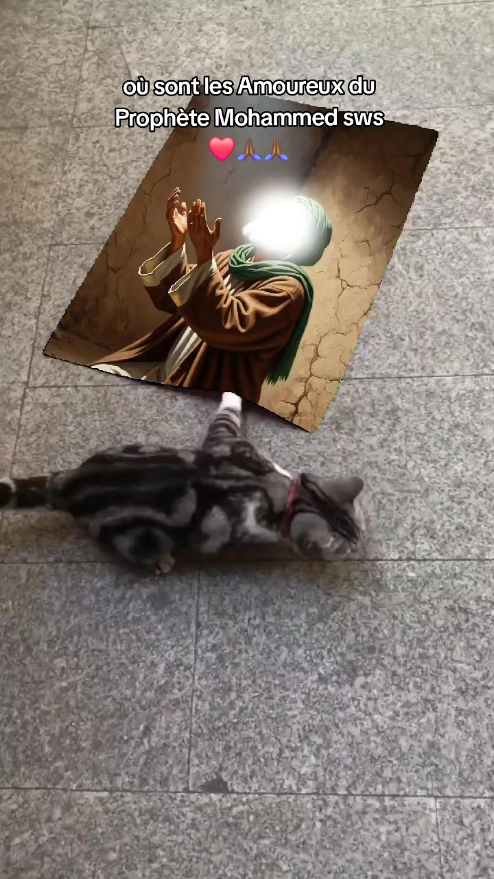 @Usman🫀🕋🕌📿🤍