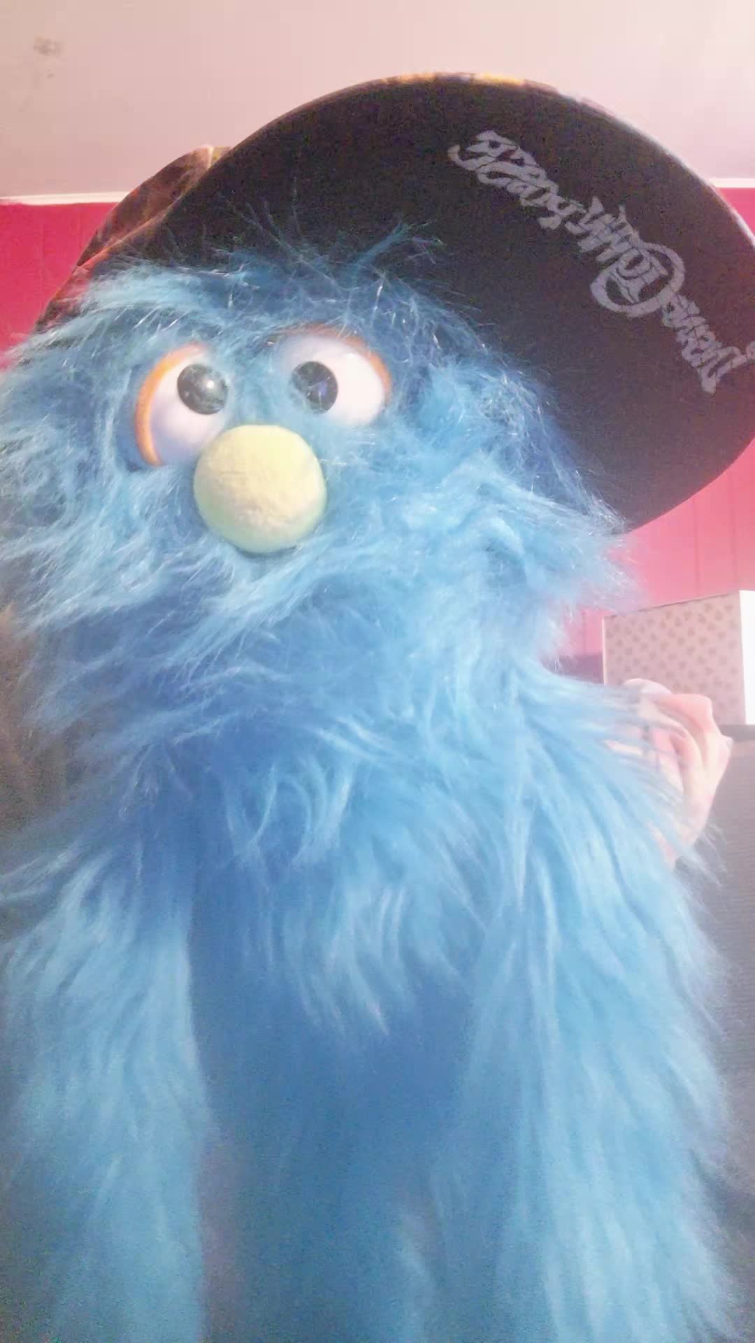 @💙pickelrick/ juggalo Muppet💙