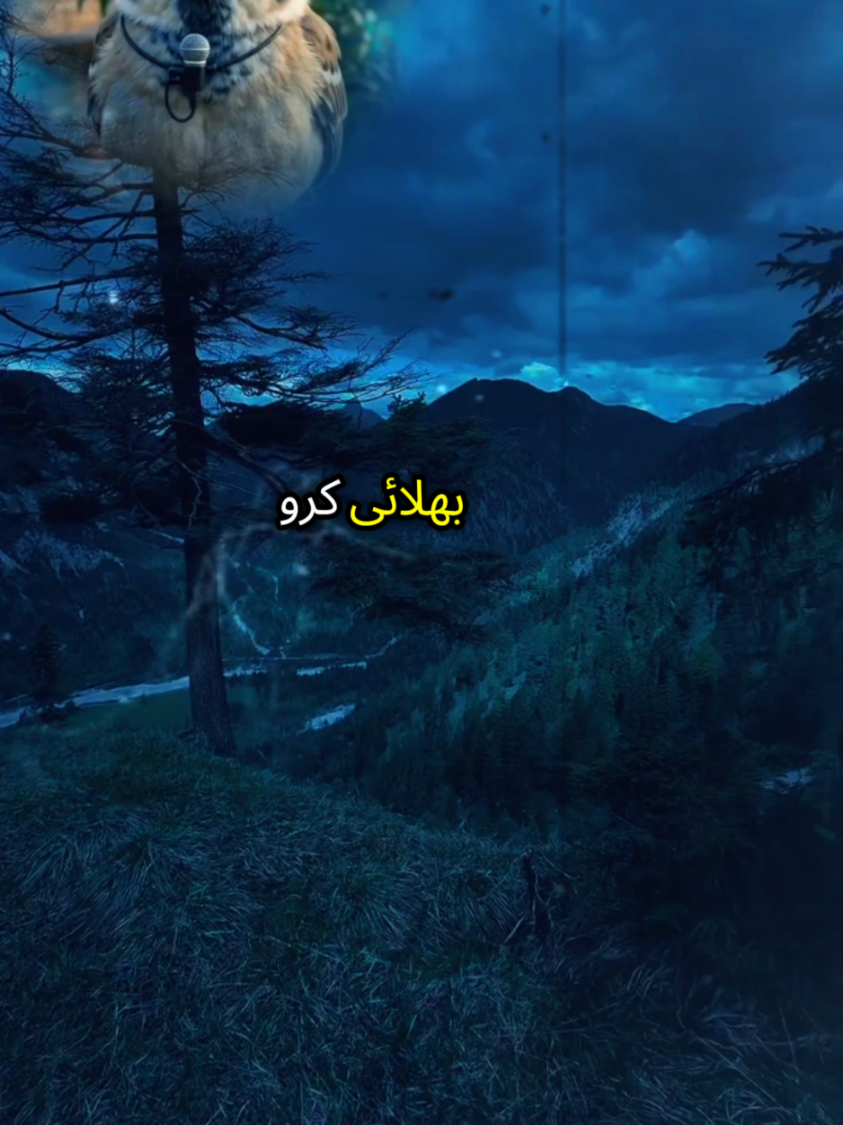 @Jannat Navid