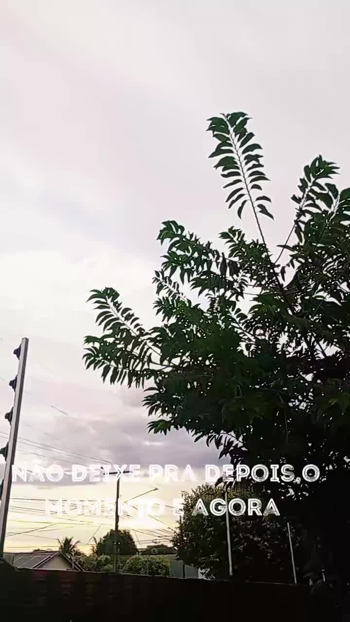 @celiasantos7517