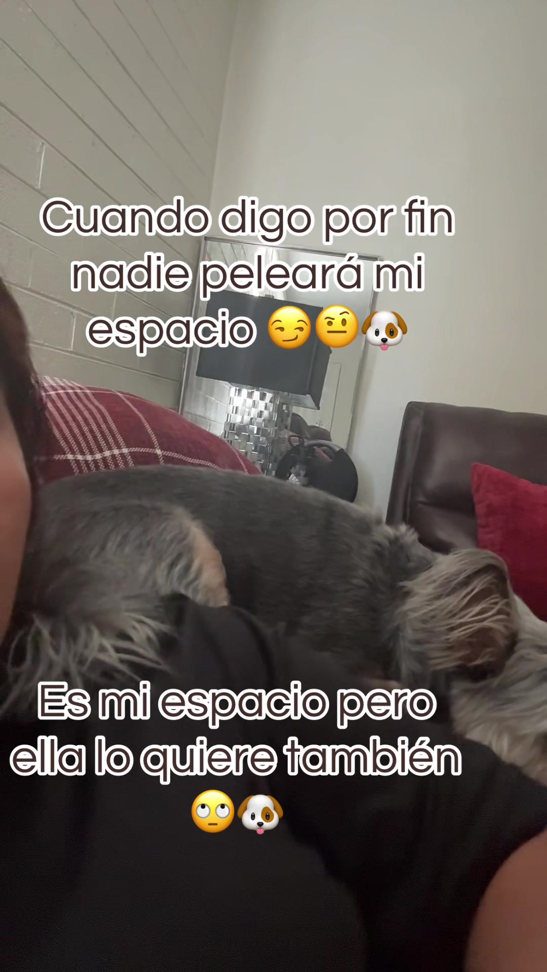 @PAULINA GUTIERREZ 🌹🍀💐🪷🥀