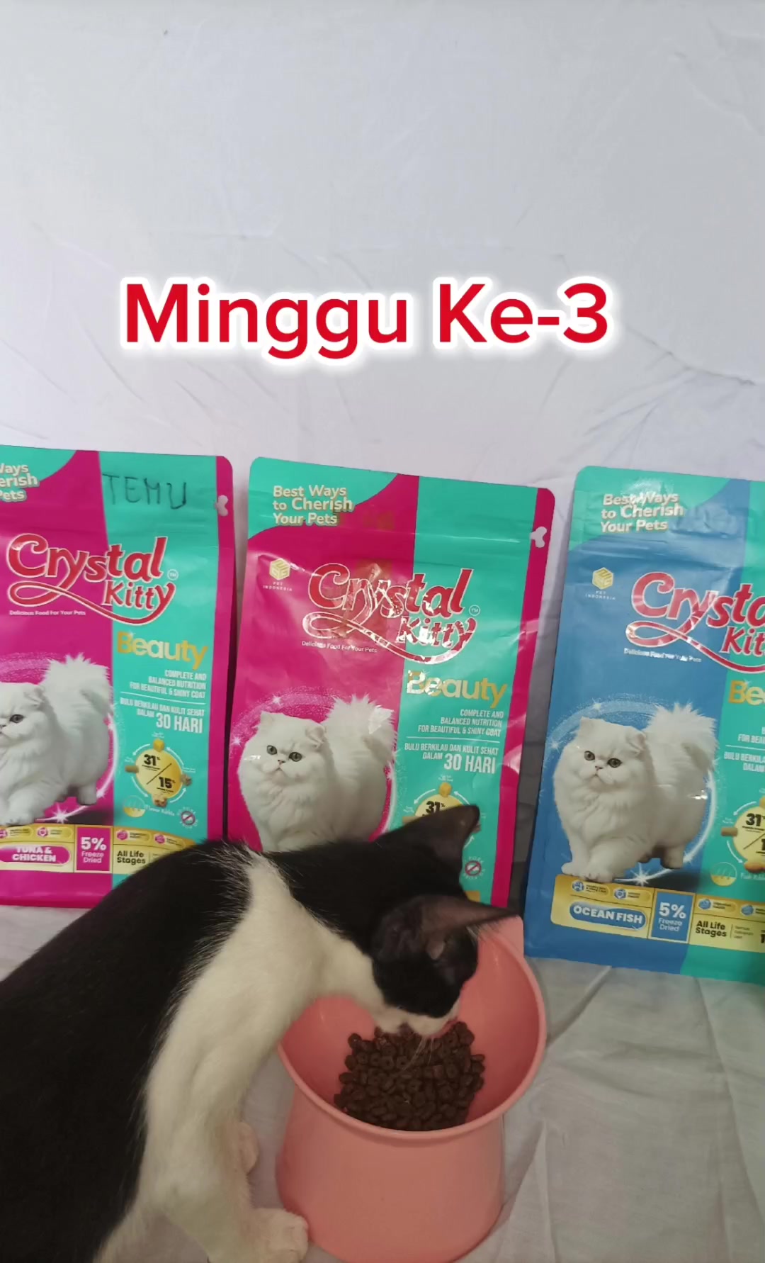 @Pras.Ayu 😻🇲🇨 🇪🇦