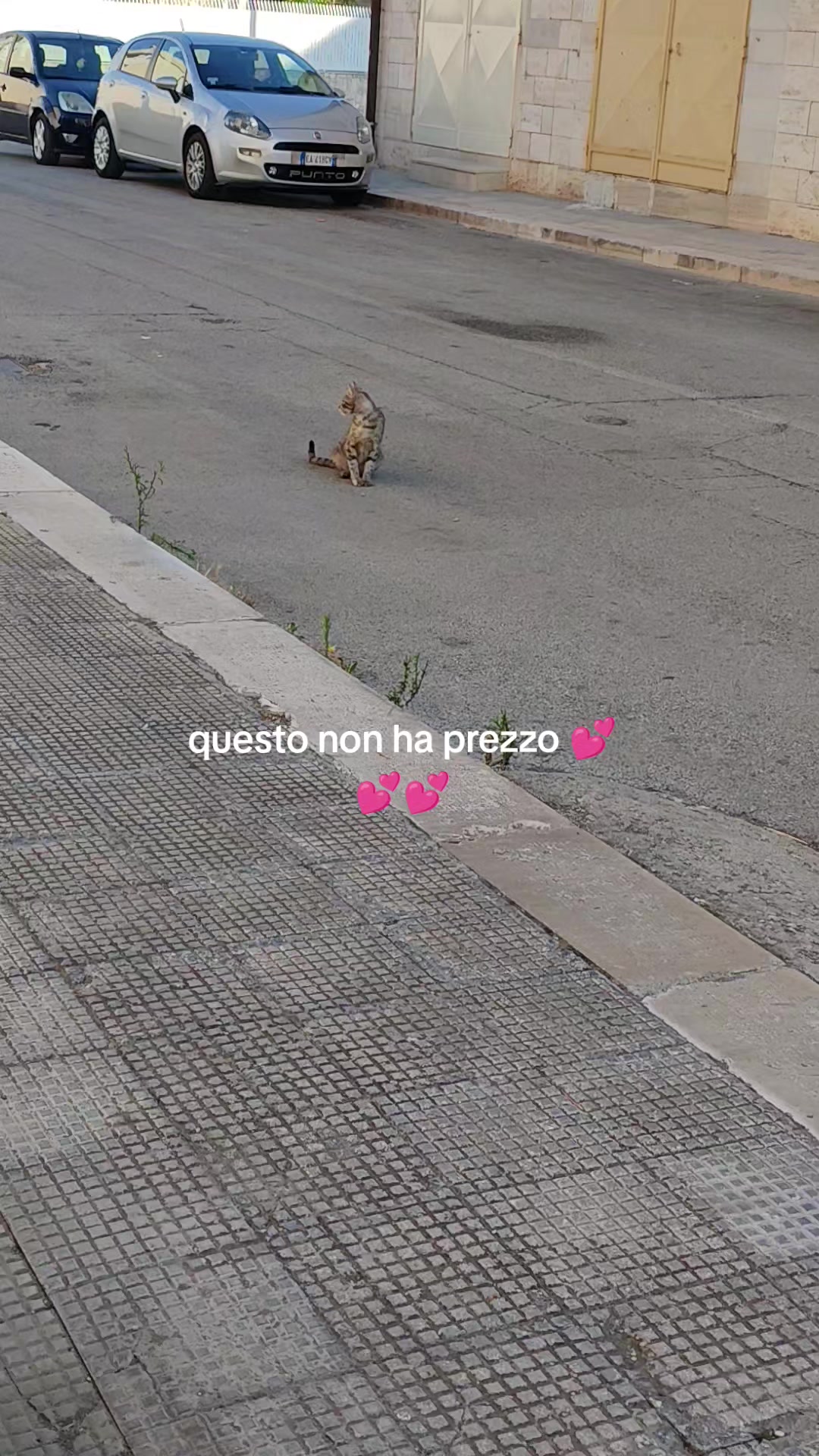 @C@RLA LEONETTI