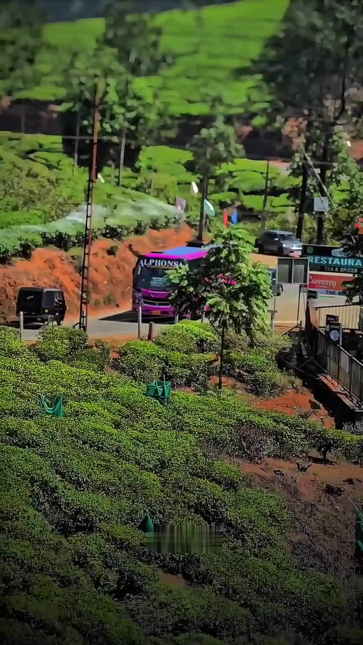 @🅚︎🅛︎ 34 ബസ്പ്രേമി