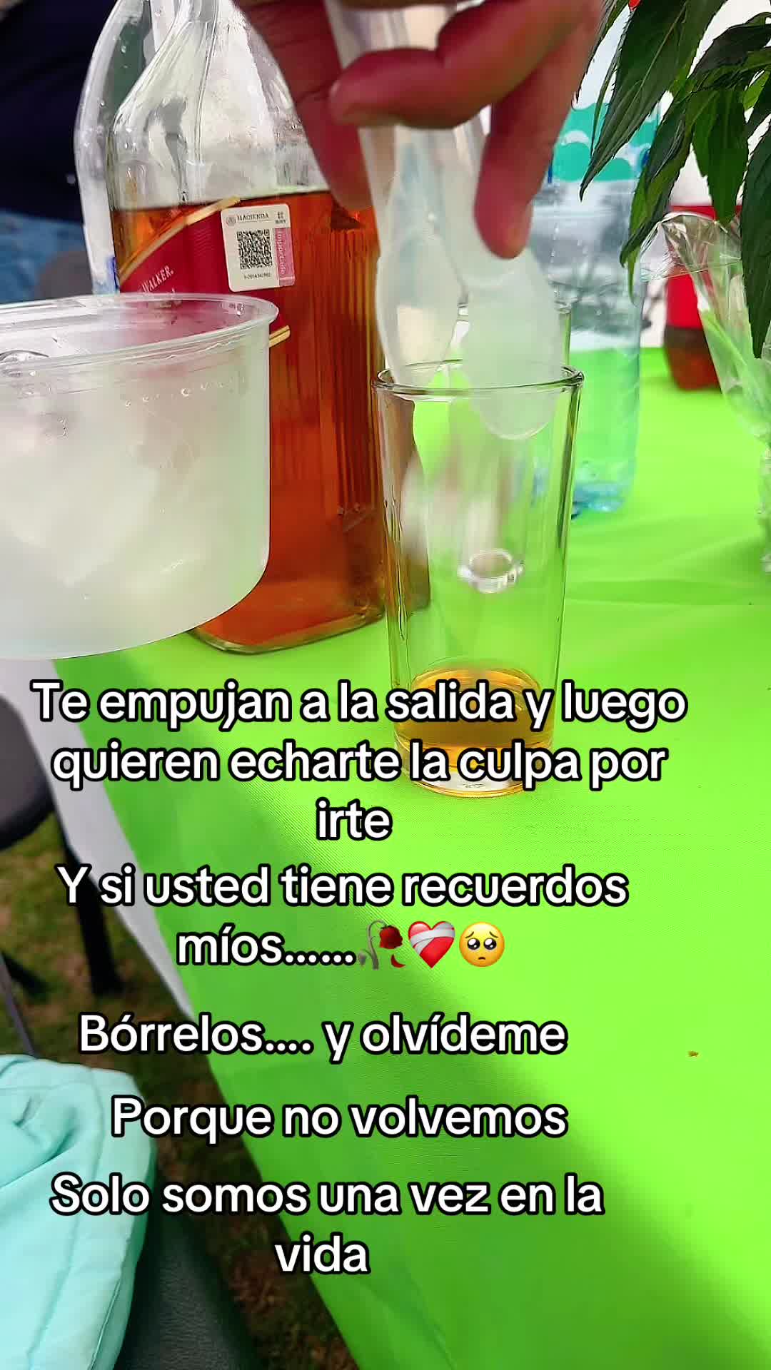 @GelizAlbanez♥️🇸🇻🌹