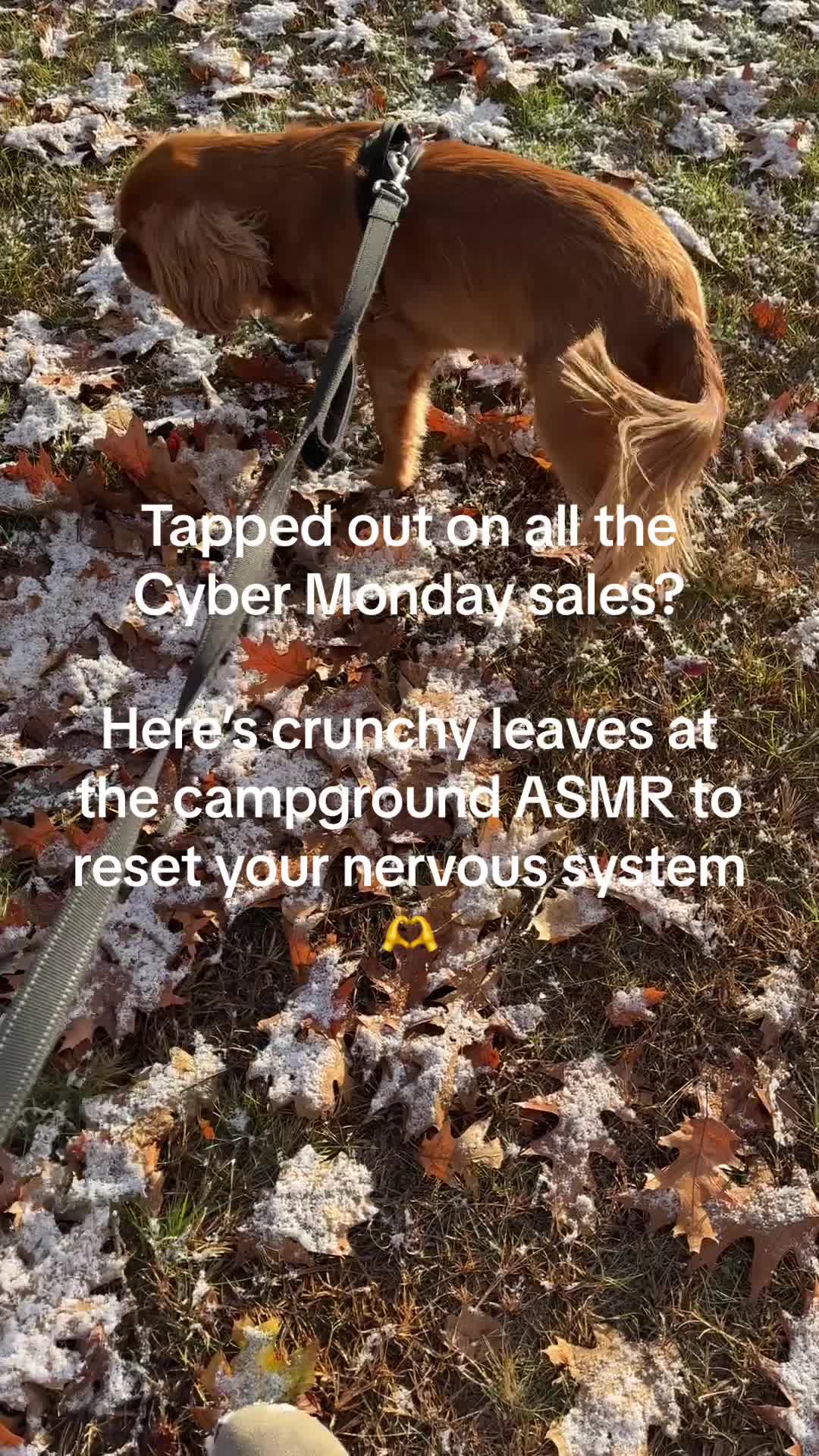 @The RV Atlas