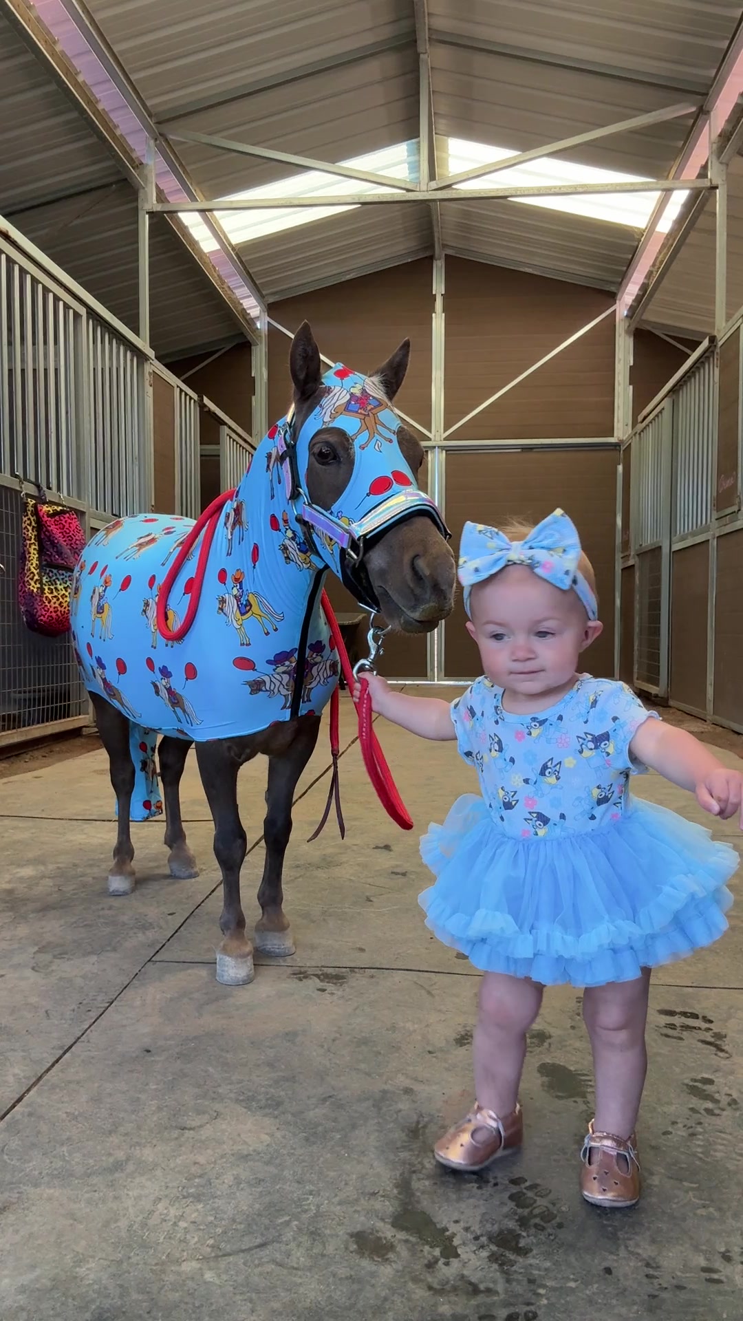 @Star Point Horsemanship