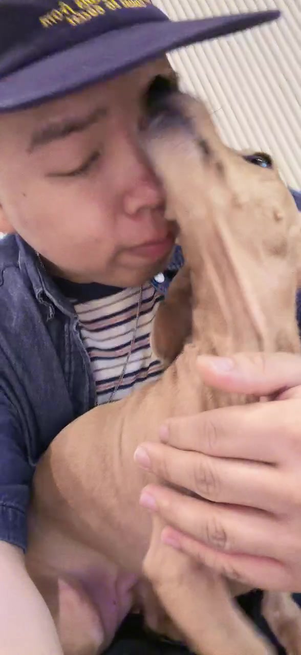 @Daeil๐ฝ๋ค์๐ท