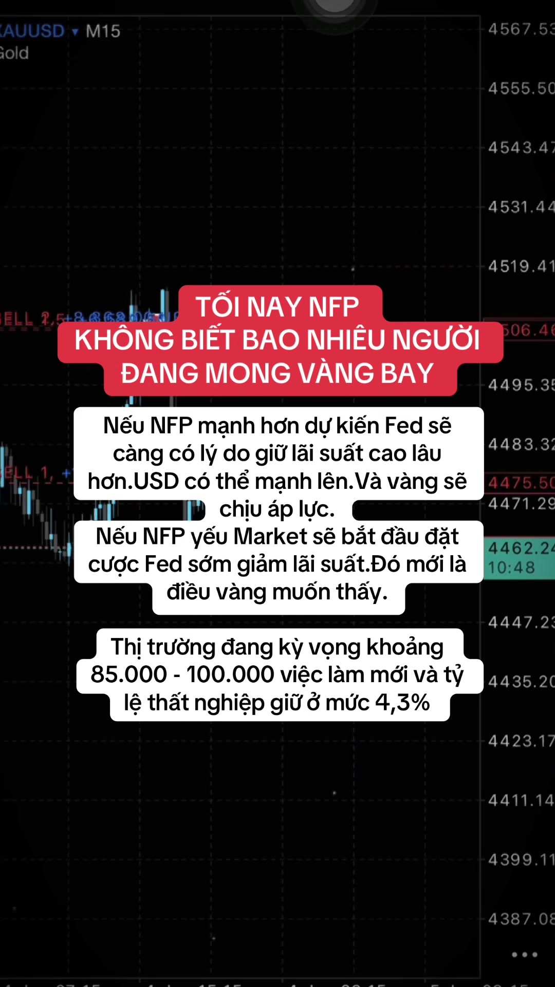 @Lão Hạc Gold.