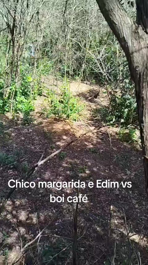 @Vaqueirojuca