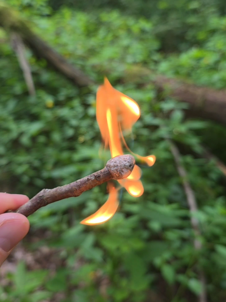 @winter_and_bushcraft