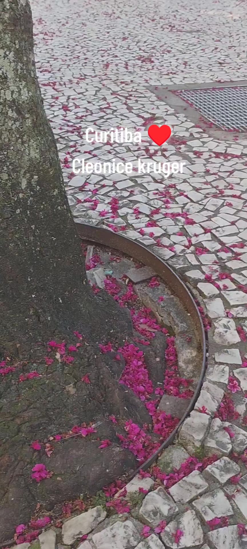 @Cleonice Kruger
